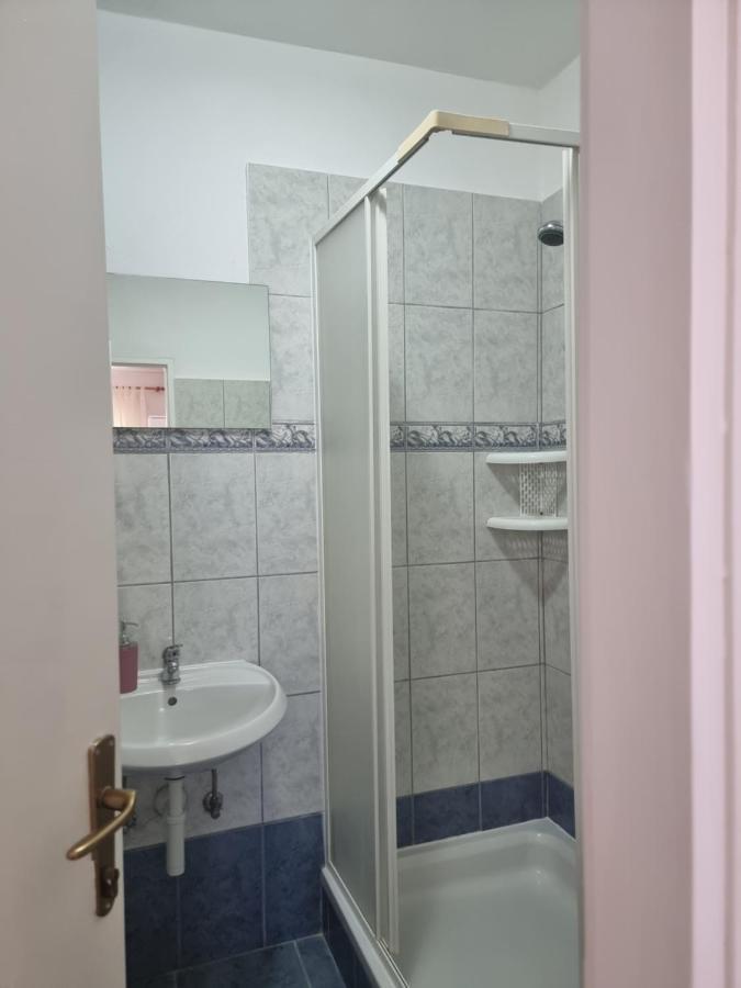 Apartmani Alen Dinjiska Экстерьер фото