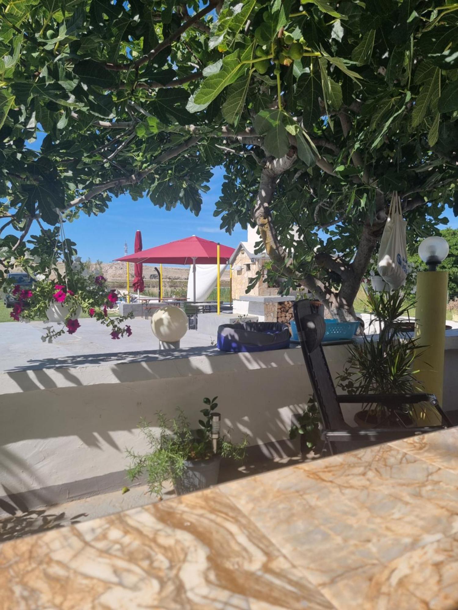 Apartmani Alen Dinjiska Экстерьер фото